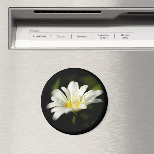 Oxeye Daisy Round Magnet (In Situ (Geschirrspüler))