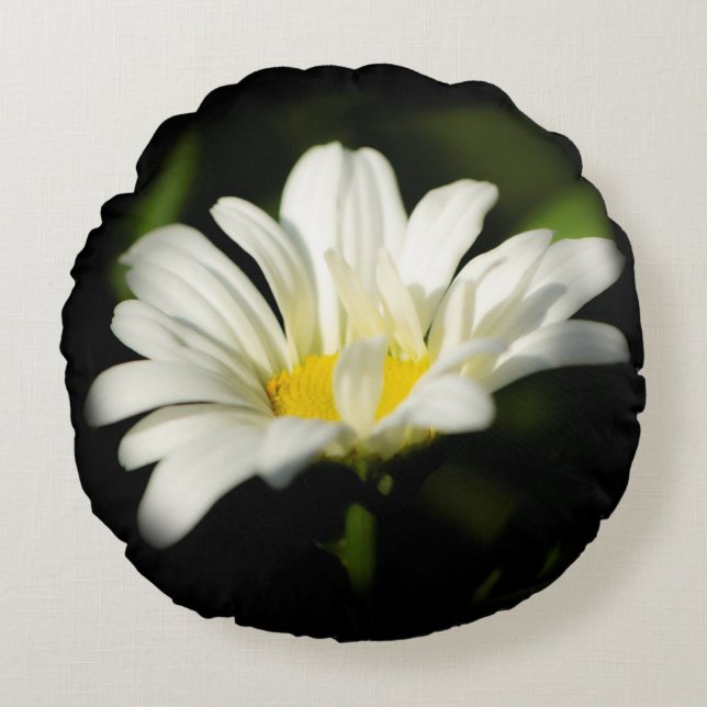 Oxeye Daisy Round Pillow Rundes Kissen (Vorderseite)