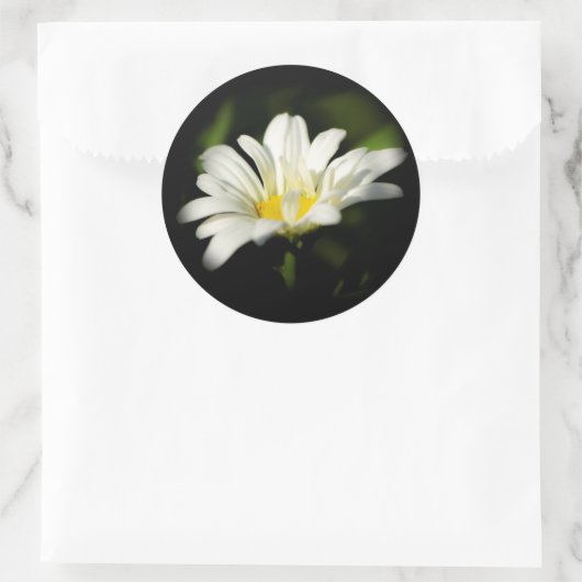 Oxeye Daisy Round Sticker (Tasche)