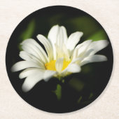 Oxeye Daisy Round Untersetzer (Vorderseite)