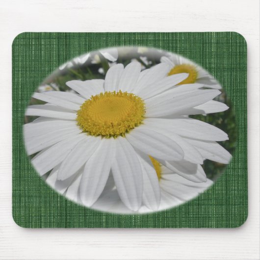 Oxeye Daisy Wildblume Blumenartikel Mousepad (Vorne)