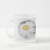 Oxeye Daisy Wildblume Mattglastasse (Links)