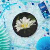Oxeye Daisy Wildblume Paper Plate Pappteller (Party)