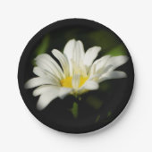 Oxeye Daisy Wildblume Paper Plate Pappteller (Vorderseite)