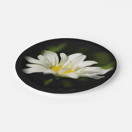 Oxeye Daisy Wildblume Paper Plate Pappteller (Schrägansicht)