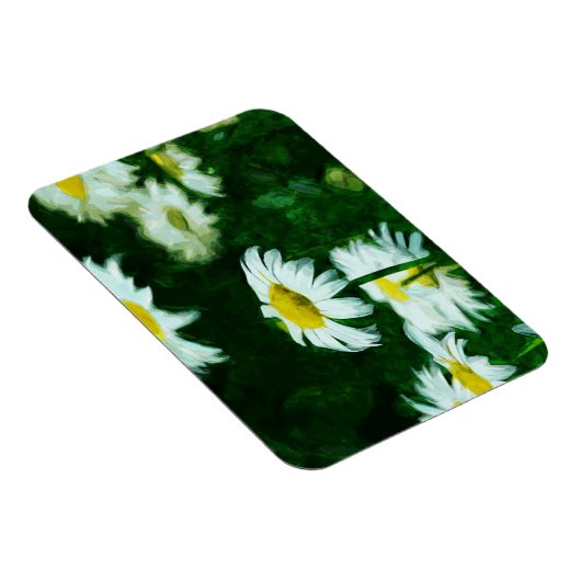 Oxeye White Daisies Abstrakter Impressionismus Magnet (Rechte Seite)