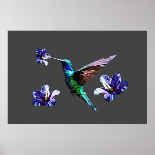 Oxford Gray Gorgeous Hummingbird/Hibiskus Poster