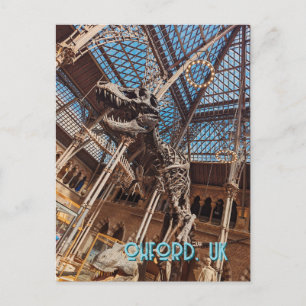 Oxford Natural History Museum Postcard T-Rex Dinos Postkarte