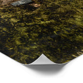 Oxford, Oxfordshire, England Poster (Ecke)