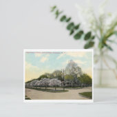 Oxford St. Rochester NY Vintag Postkarte (Stehend Vorderseite)