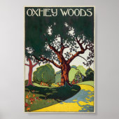 Oxhey Woods Vintage Poster 1915 (Vorne)