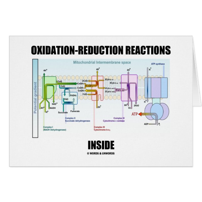 Oxidations-Reduktionreaktionen nach innen (Vorderseite (Horizontal))