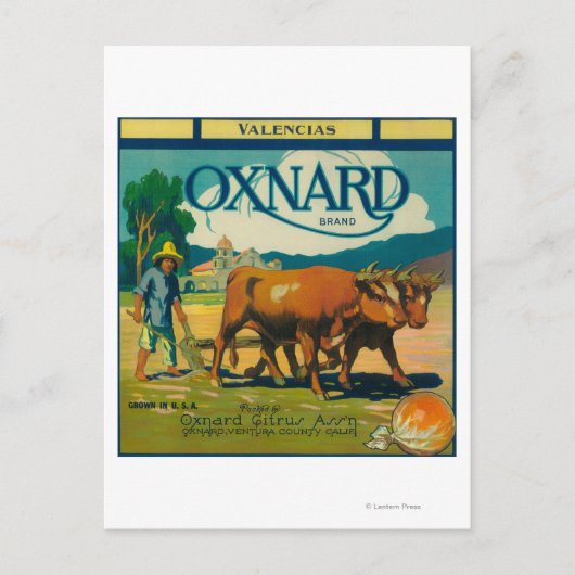 Oxnard Orange LabelOxnard, CA Postkarte (Vorderseite)