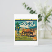 Oxnard Orange LabelOxnard, CA Postkarte (Stehend Vorderseite)