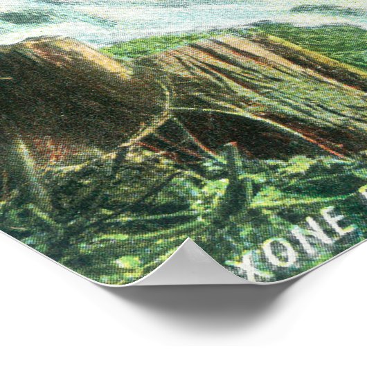 Oxone Falls and Spring ViewShasta Springs, CA Poster (Ecke)