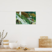 Oxone Falls and Spring ViewShasta Springs, CA Poster (Küche)