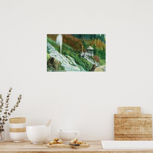 Oxone Falls and Spring ViewShasta Springs, CA Poster (Küche)