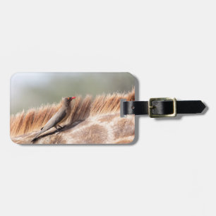 Oxpecker on a giraffe gepäckanhänger