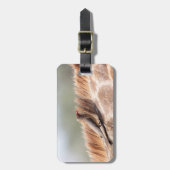 Oxpecker on a giraffe gepäckanhänger (Vorderseite vertikal)