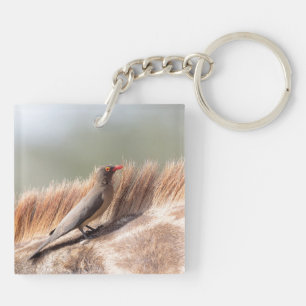 Oxpecker, wir haben Giraffe Schlüsselanhänger