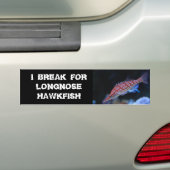 Oxycirrhites typus autoaufkleber (Auf Auto)