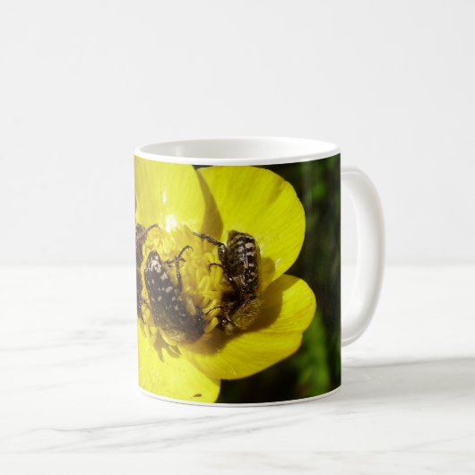 Oxythyrea Funesta Beetles Bug Tasse (VorderseiteRechts)
