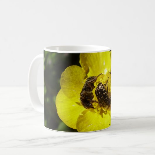 Oxythyrea Funesta Beetles Bug Tasse (Vorderseite Links)