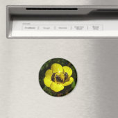 Oxythyrea Funesta Beetles Magnet (In Situ (Geschirrspüler))