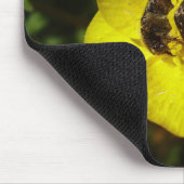 Oxythyrea Funesta Beetles Mouse Mat Mousepad (Ecke)