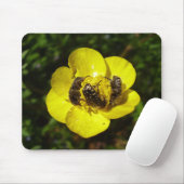Oxythyrea Funesta Beetles Mouse Mat Mousepad (Mit Mouse)