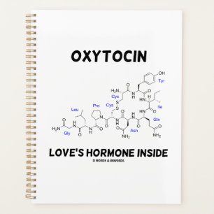 Oxytocin Liebe Hormon Inside Chemie Planer