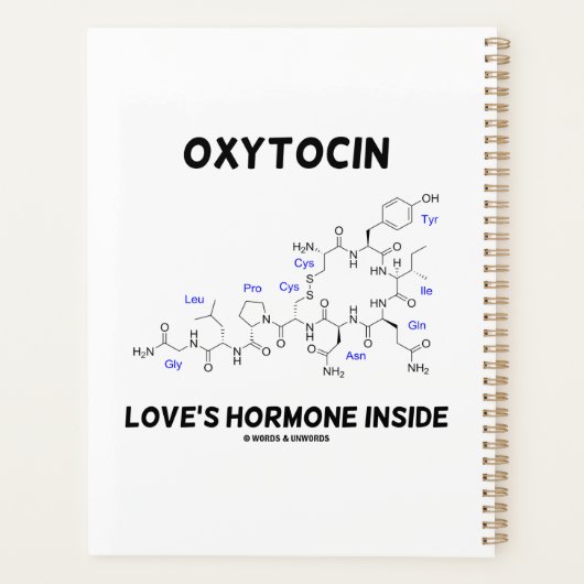 Oxytocin Liebe Hormon Inside Chemie Planer (Rückseite)