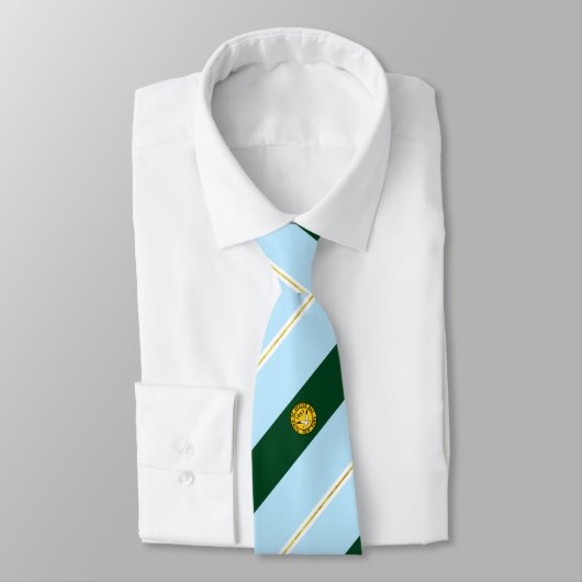Oyster Bay (New York) Stadtflagge Neck Tie Krawatte (Gebunden)