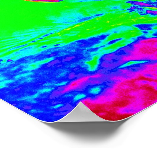 Oyster Catcher Poster (Ecke)