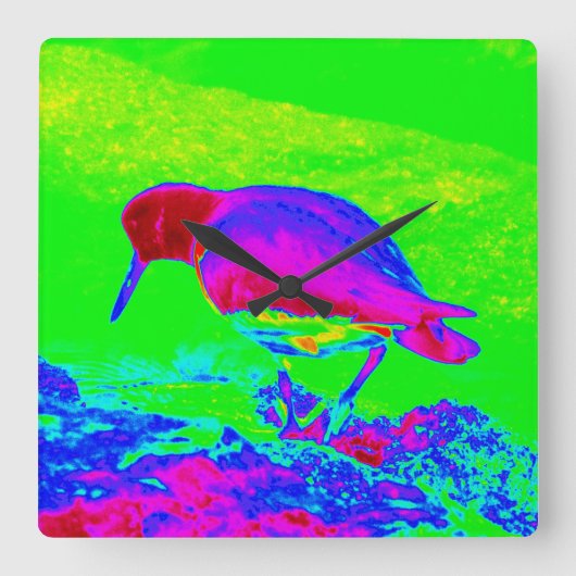 Oyster Catcher Quadratische Wanduhr (Vorderseite)