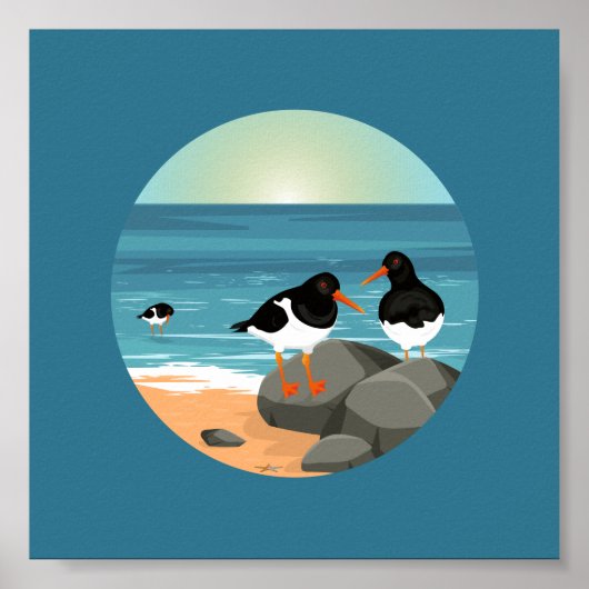 Oyster Catchers Illustration Poster (Vorne)