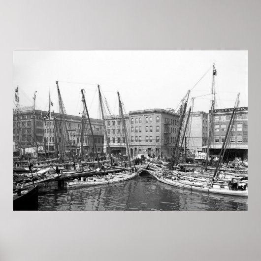 Oyster Luggers Poster (Vorne)