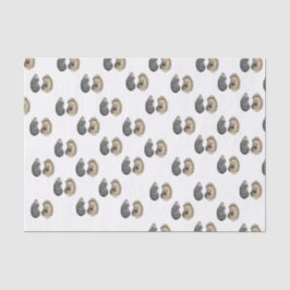 Oyster Muschel Tissue Paper Seidenpapier