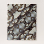 Oyster Mushroom Fun House Mirror Style Puzzle (Vertikal)