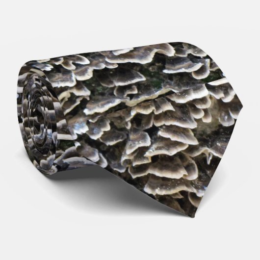 Oyster Mushroom-Krawatte Krawatte (Gerollt)