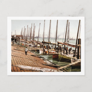 Oyster Smacks on the Levee New Orleans 1900 Postkarte