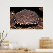 Oyster Toad Portrait Poster (Küche)