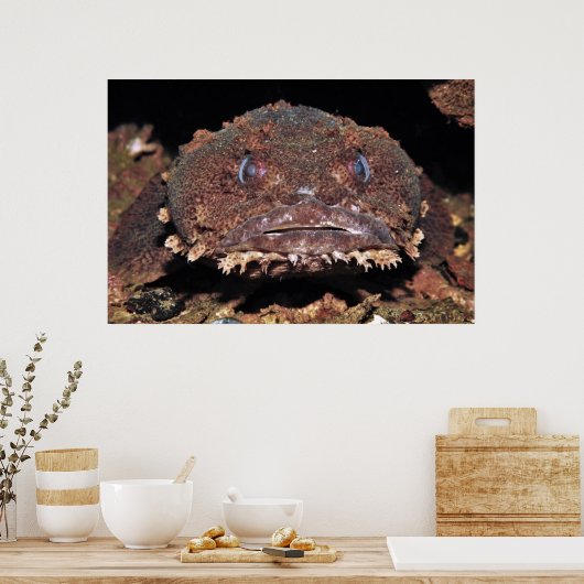 Oyster Toad Portrait Poster (Küche)