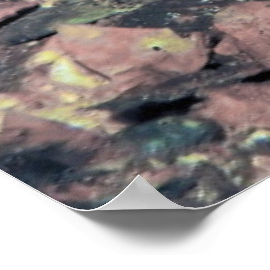 Oyster Toadfish Poster (Ecke)