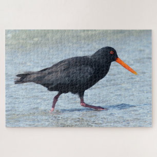 OYSTERCATCHER 20x30 INCH Puzzle