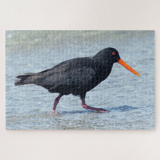 OYSTERCATCHER 20x30 INCH Puzzle (Horizontal)