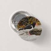 Oystercatcher-Abzeichen Button (Vorne & Hinten)