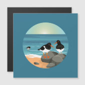 Oystercatcher an der Küste Magnetkarte (Vorne/Hinten)