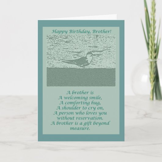 Oystercatcher Brother Birthday Card Karte (Vorderseite)