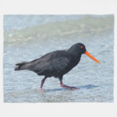OYSTERCATCHER FLEECEDECKE (Vorderseite (Horizontal))